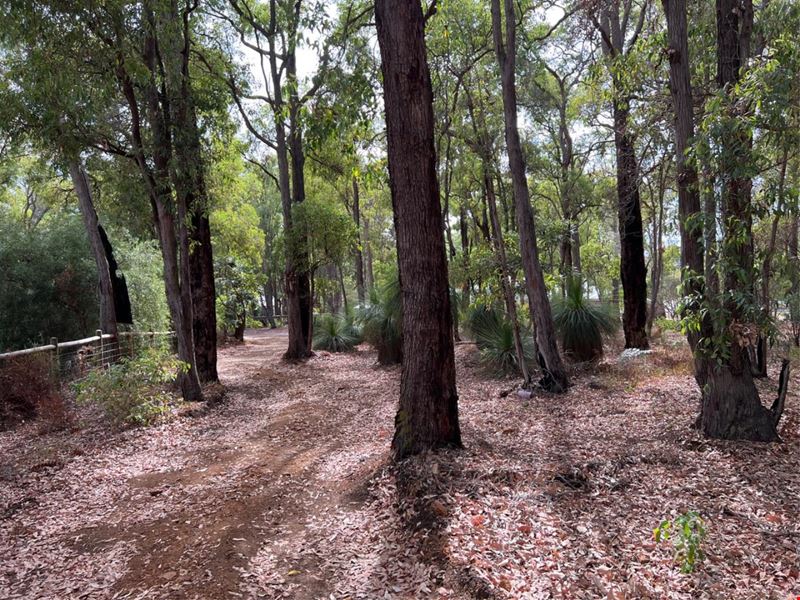 7 Sanctuary Court, Roleystone WA 6111