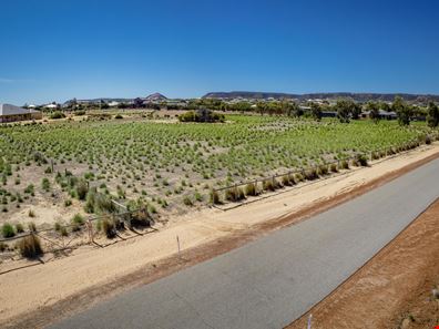 88 Parmelia Boulevard, White Peak WA 6532