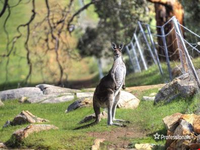 349 Haddrill Road, Baskerville WA 6056