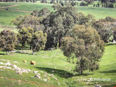 349 Haddrill Road, Baskerville WA 6056