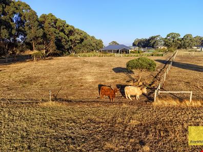 42 Ajana Drive, Marbelup WA 6330