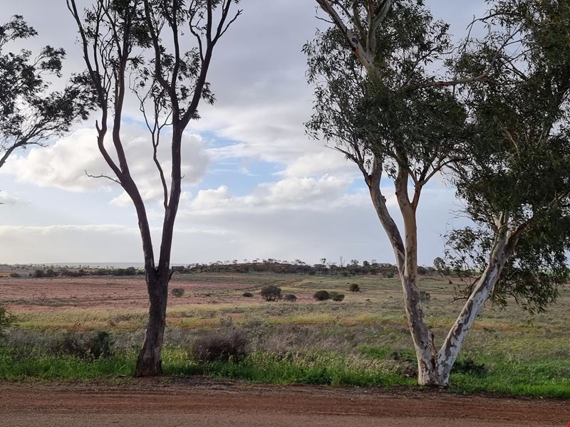 36 Birdwood Street, Mullewa WA 6630