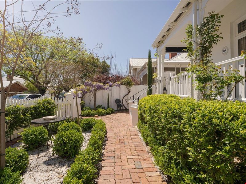 1 cilantro parkway, Treeby