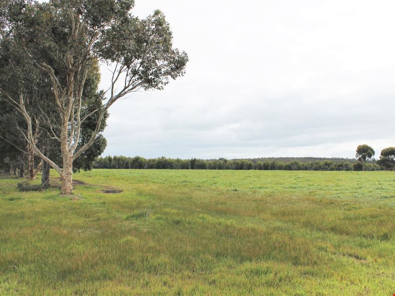5 Northey Retreat, Mount Barker WA 6324