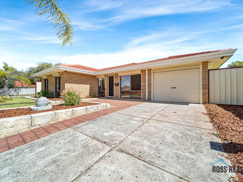 16 Lambourne Retreat, Mirrabooka WA 6061