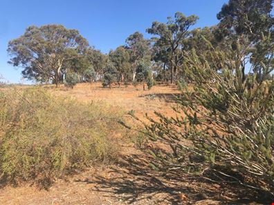 Lot 4 Mellows Road, Wandering WA 6308