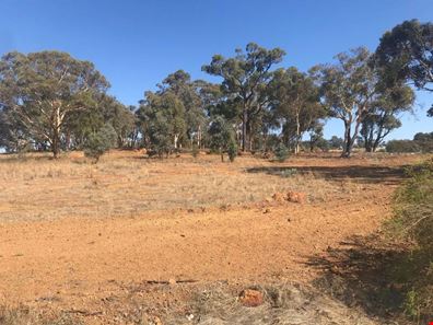 Lot 4 Mellows Road, Wandering WA 6308