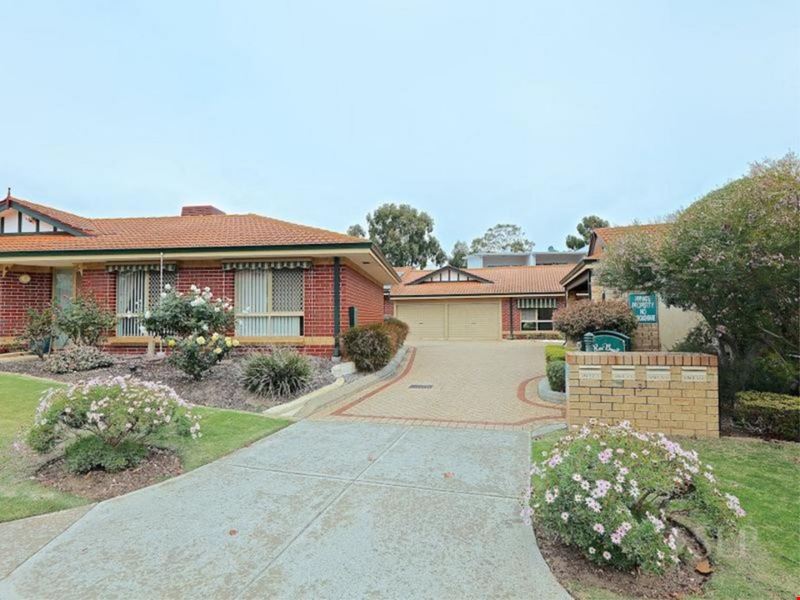 4/3 Tipuana  Green, O'Connor WA 6163