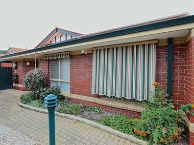 4/3 Tipuana  Green, O'Connor WA 6163