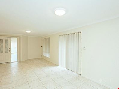 4/3 Tipuana  Green, O'Connor WA 6163