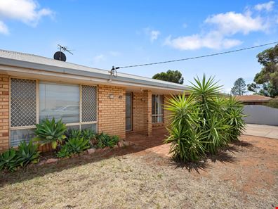 82 Graeme Street, Hannans WA 6430