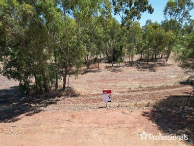 10 Mount Street, York WA 6302