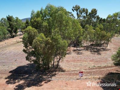 10 Mount Street, York WA 6302