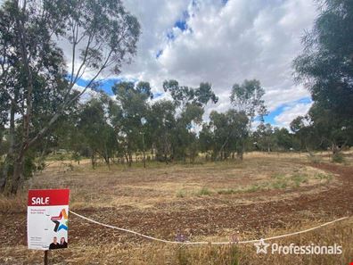 10 Mount Street, York WA 6302