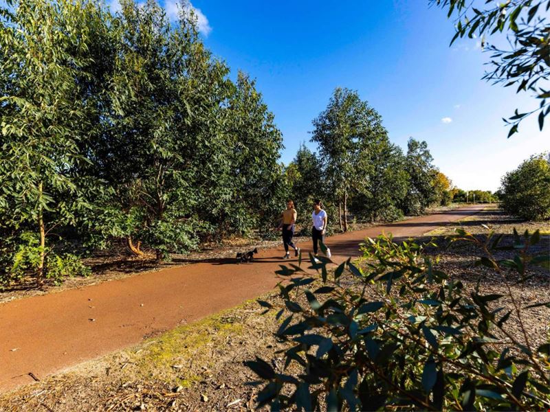 Lot 719, 19 Threefin Circuit, Vasse WA 6280