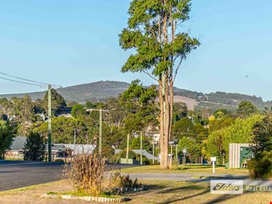 34 Marion Street, Mount Barker WA 6324