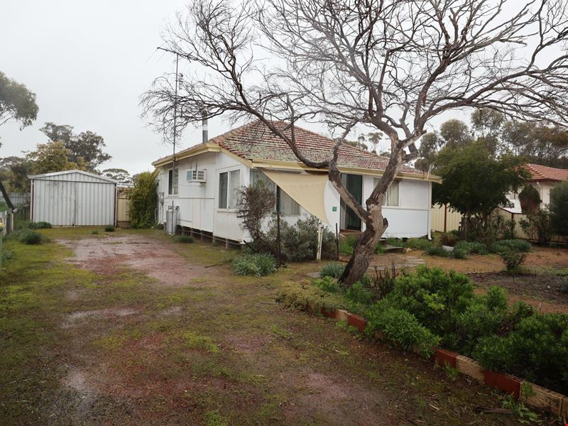 19 COLLINS STREET, Wickepin WA 6370