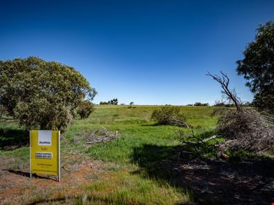 5 Forrest Street, Northampton WA 6535