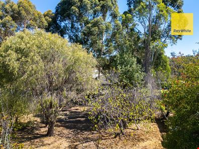 46 North Street, Nannup WA 6275