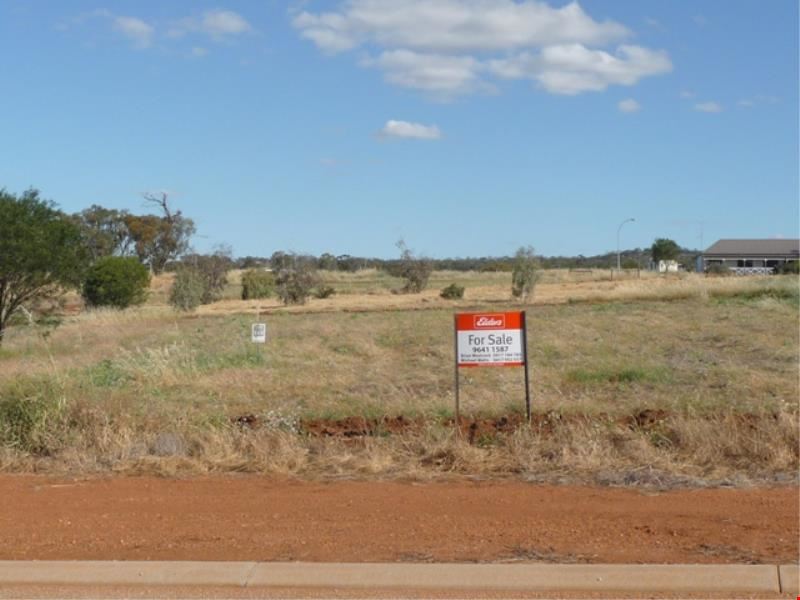 72 Andrews Avenue, York WA 6302