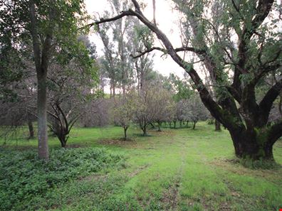 825 Beela Road, Beela WA 6224