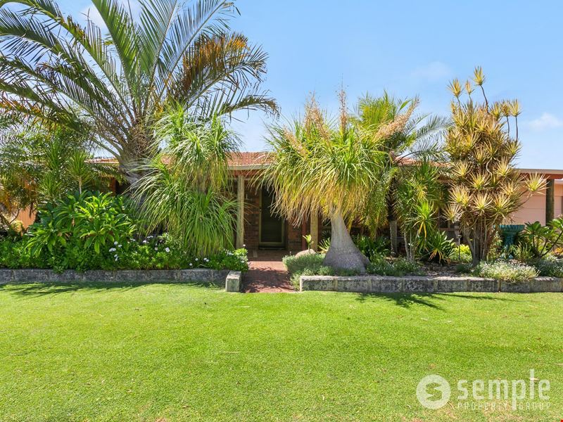 16 Homestead Avenue, Bibra Lake WA 6163