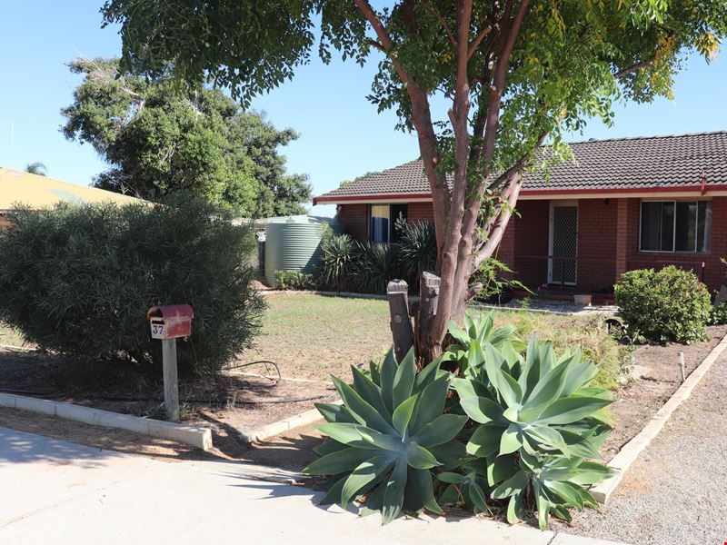 37 Johnston Street, Wongan Hills WA 6603