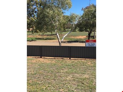 78 ANNETTS ROAD, Dalwallinu WA 6609