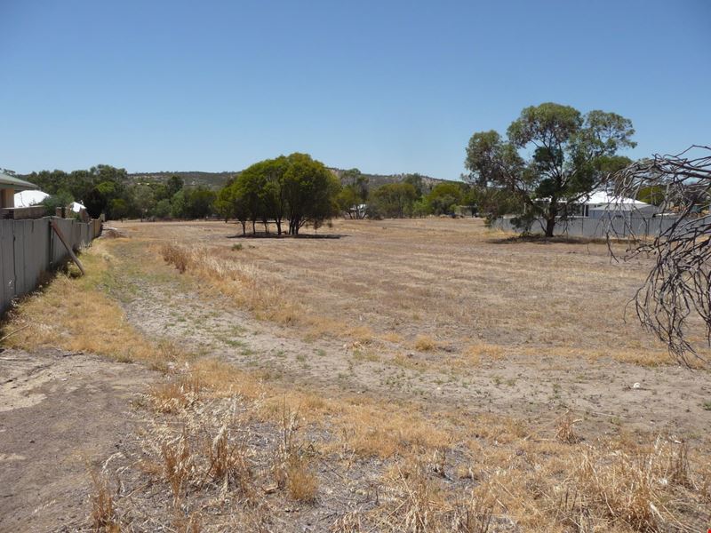 48 ALFRED STREET, York WA 6302