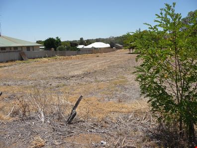 48 ALFRED STREET, York WA 6302