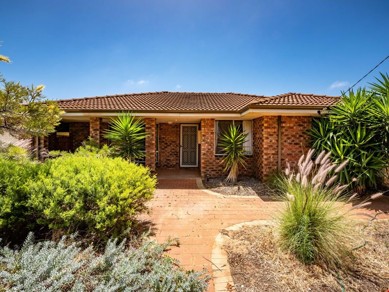 50 Harrison Street, Bluff Point WA 6530