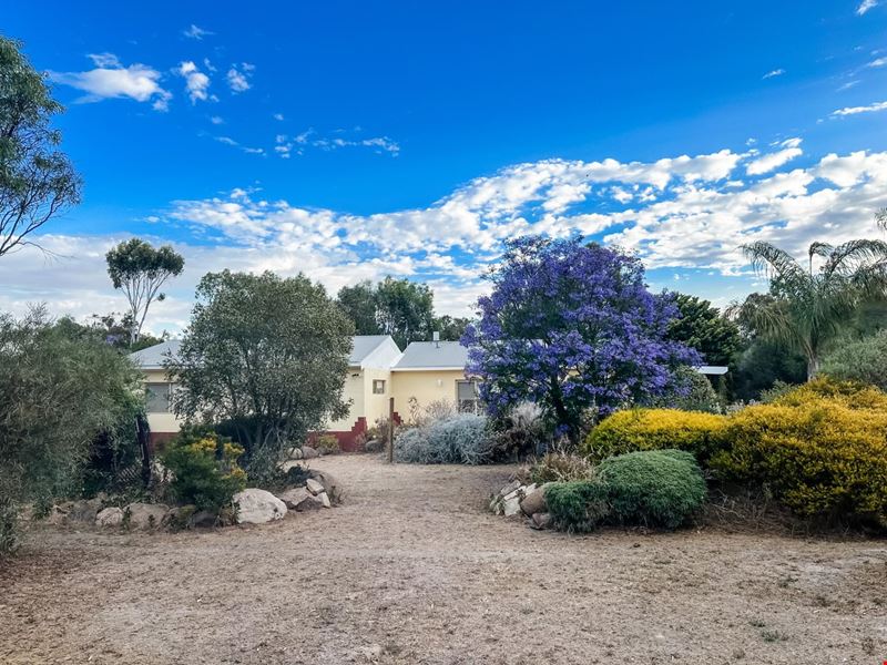 24 Curlew  Street, Katanning WA 6317