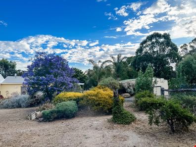 24 Curlew  Street, Katanning WA 6317