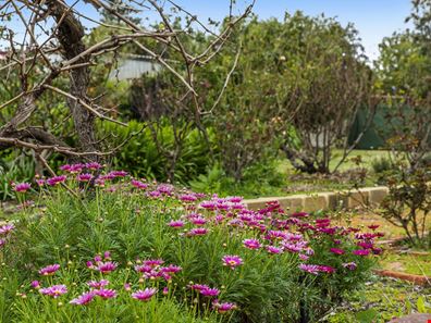 19 Fraser Street, Gingin WA 6503