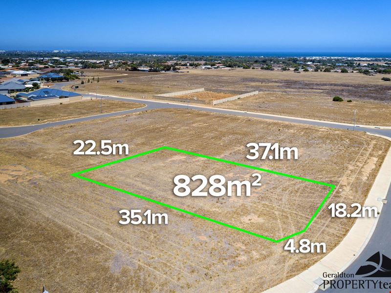 25 Half Moon Drive, Waggrakine WA 6530