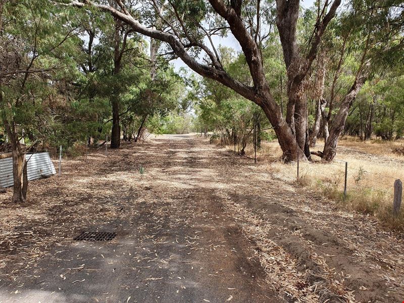 7 Holly Hill Avenue, Gelorup WA 6230