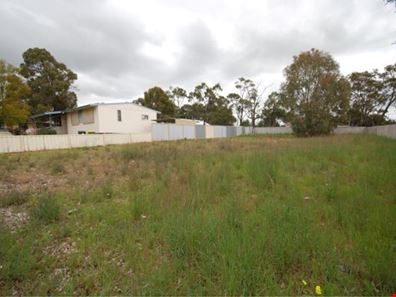 6 Short Street, Narrogin WA 6312