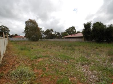 6 Short Street, Narrogin WA 6312