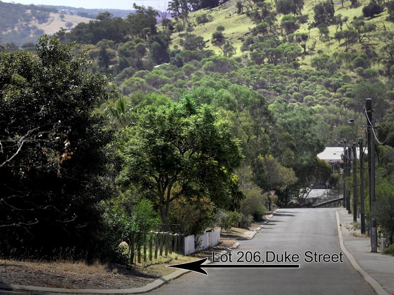 20 Duke Street, Toodyay WA 6566