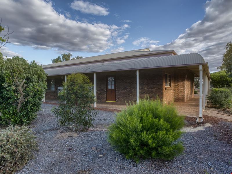 53 Shadbolt Street, Mukinbudin WA 6479