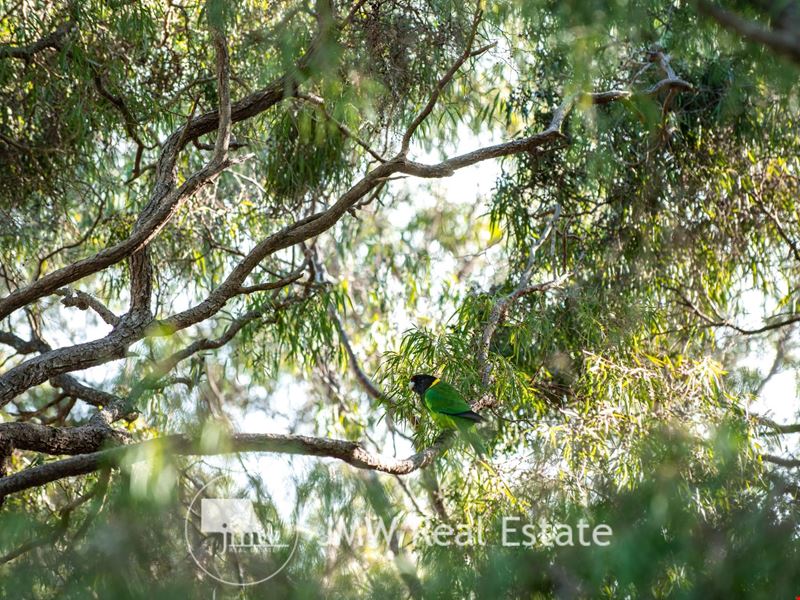 515/ Kurrajong Parkway, Witchcliffe WA 6286