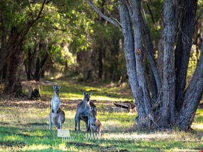 515/ Kurrajong Parkway, Witchcliffe WA 6286