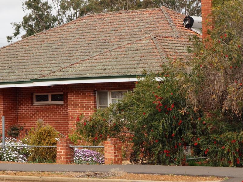 27 Garrity St, Tambellup WA 6320