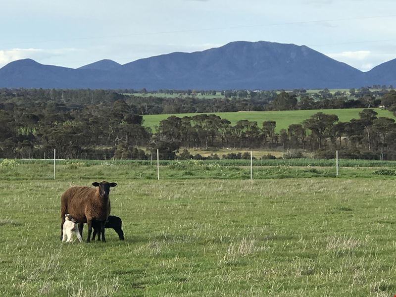 Cnr Fenton Heights & Williams Road, Kendenup WA 6323