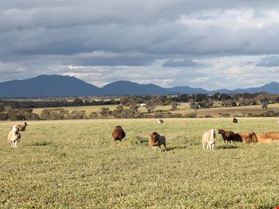 Cnr Fenton Heights & Williams Road, Kendenup WA 6323