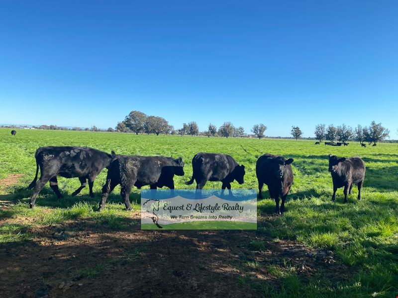 44 Wickham Road, Yarloop WA 6218