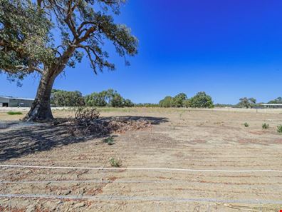 14 Harness View, Serpentine WA 6125