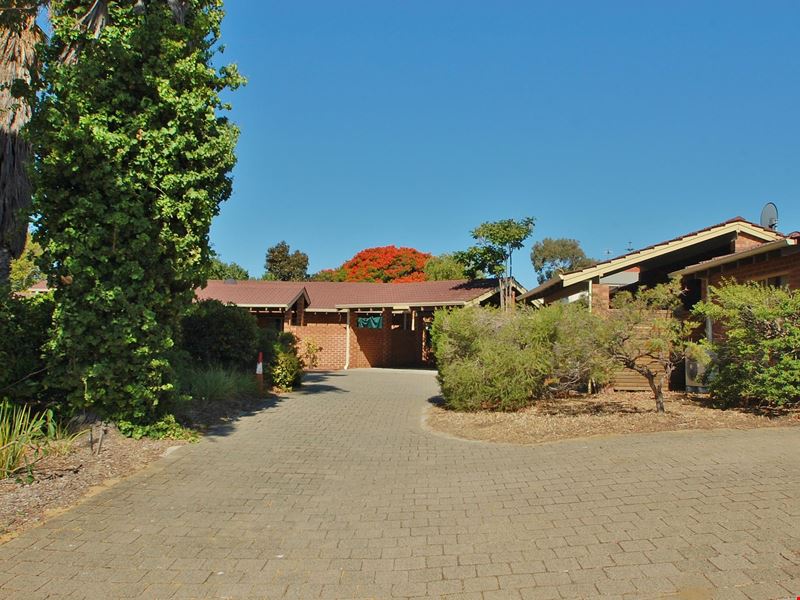 8/278 Hancock Street, Doubleview WA 6018