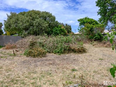 10 Haselmere Circus, Rockingham WA 6168