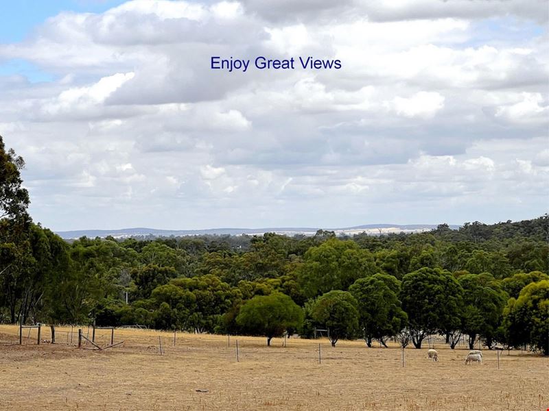 70 Caladenia Drive, Coondle